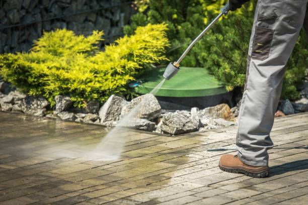 Best Roof Washing  in Karns, TN